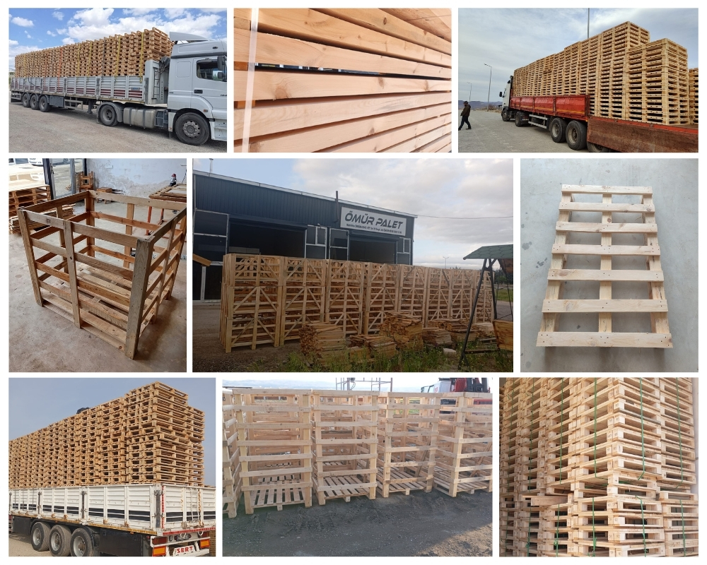 Zwolle Houten Kisten, Europallets Groothandel Kopen